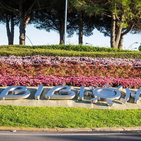 With Large Terrace Bibione